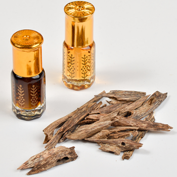 Oudh Orchid (W)